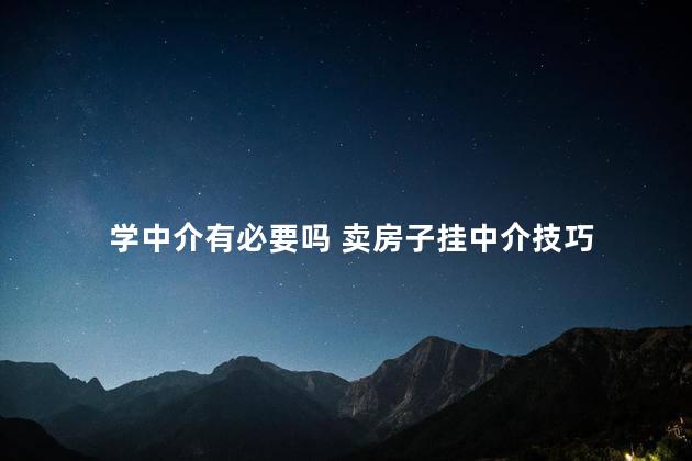 学中介有必要吗 卖房子挂中介技巧